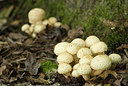 BUITEN BEELD Foto: 186822