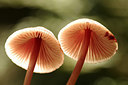 BUITEN BEELD Foto: 186880