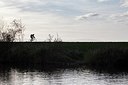BUITEN BEELD Foto: 186883