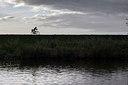 BUITEN BEELD Foto: 186885