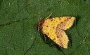 BUITEN BEELD Foto: 186942