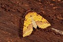 BUITEN BEELD Foto: 186945