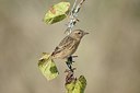 BUITEN BEELD Foto: 186976