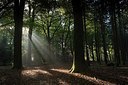 BUITEN BEELD Foto: 186997