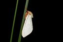 BUITEN BEELD Foto: 187014