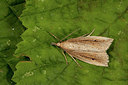 BUITEN BEELD Foto: 187083