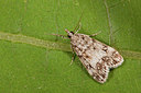 BUITEN BEELD Foto: 187093