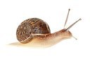 BUITEN BEELD Foto: 187173