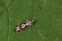 BUITEN BEELD Foto: 187262