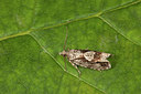 BUITEN BEELD Foto: 187296