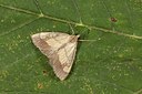 BUITEN BEELD Foto: 187302