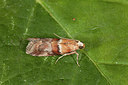 BUITEN BEELD Foto: 187310