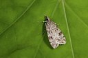 BUITEN BEELD Foto: 187328