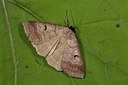 BUITEN BEELD Foto: 187357