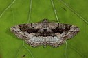 BUITEN BEELD Foto: 187360