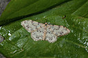 BUITEN BEELD Foto: 187385