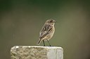 BUITEN BEELD Foto: 187430