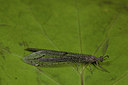 BUITEN BEELD Foto: 187451