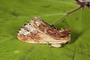 BUITEN BEELD Foto: 187457