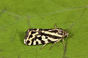 BUITEN BEELD Foto: 187463