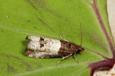 BUITEN BEELD Foto: 187484