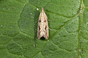 BUITEN BEELD Foto: 187514