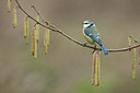 BUITEN BEELD Foto: 187563