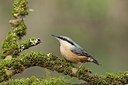 BUITEN BEELD Foto: 187566