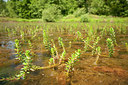 BUITEN BEELD Foto: 187674