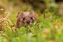 BUITEN BEELD Foto: 187677