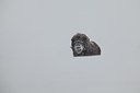 BUITEN BEELD Foto: 187728