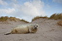 BUITEN BEELD Foto: 187771