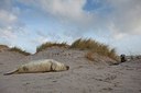 BUITEN BEELD Foto: 187773