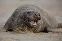 BUITEN BEELD Foto: 187779