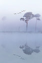 BUITEN BEELD Foto: 187793
