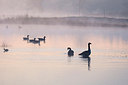 BUITEN BEELD Foto: 187796