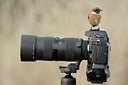 BUITEN BEELD Foto: 187813