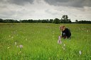 BUITEN BEELD Foto: 187973