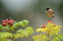 BUITEN BEELD Foto: 188000