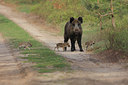 BUITEN BEELD Foto: 188017