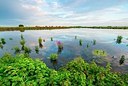 BUITEN BEELD Foto: 188183