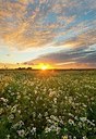 BUITEN BEELD Foto: 188188