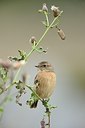 BUITEN BEELD Foto: 188290