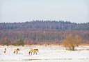 BUITEN BEELD Foto: 188452