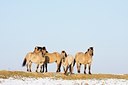 BUITEN BEELD Foto: 188453