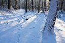 BUITEN BEELD Foto: 188462