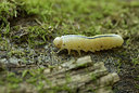 BUITEN BEELD Foto: 188628