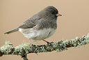 BUITEN BEELD Foto: 188629