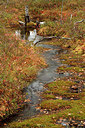 BUITEN BEELD Foto: 188741