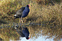 BUITEN BEELD Foto: 188841